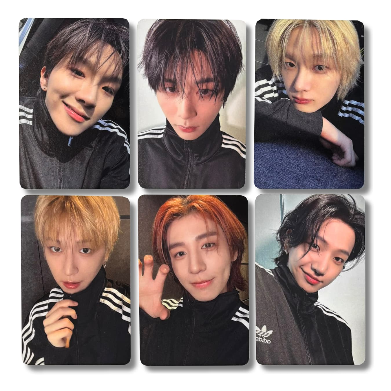 Sungho [BOYNEXTDOOR] Apple Music Photocard Home [11905]